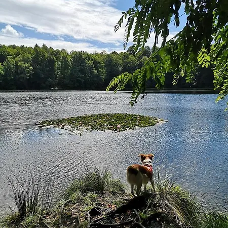 Haus Am Roesberg * Bornheim (Rheinland)