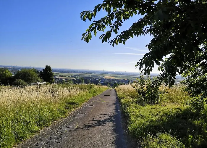 Haus Am Roesberg 公寓