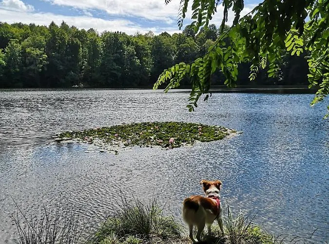 Haus Am Roesberg * 博恩海姆